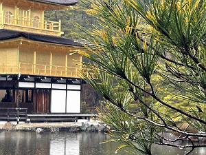 KYOTO - Temple Kinkaku-Ji et Jardins - 18.01.2024 - 11